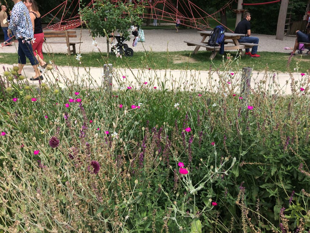 Blackbox Gardening